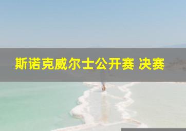 斯诺克威尔士公开赛 决赛